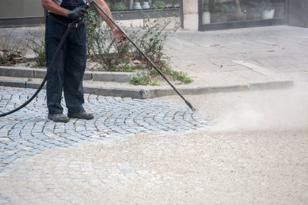 Best Driveway Pressure Washing  in Bazon, CA