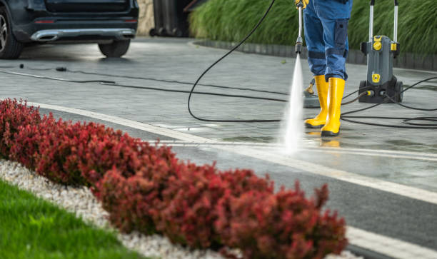 Best House Exterior Washing  in Bazon, CA